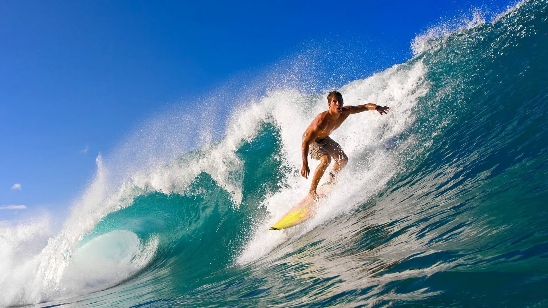 开云入口-“青训作品展在上海举办，展现未来足球人才”，2019足球青训营