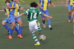 开云体育直播-中国足球赛事直播流量与关注度指数追踪，中国足球关注度数据